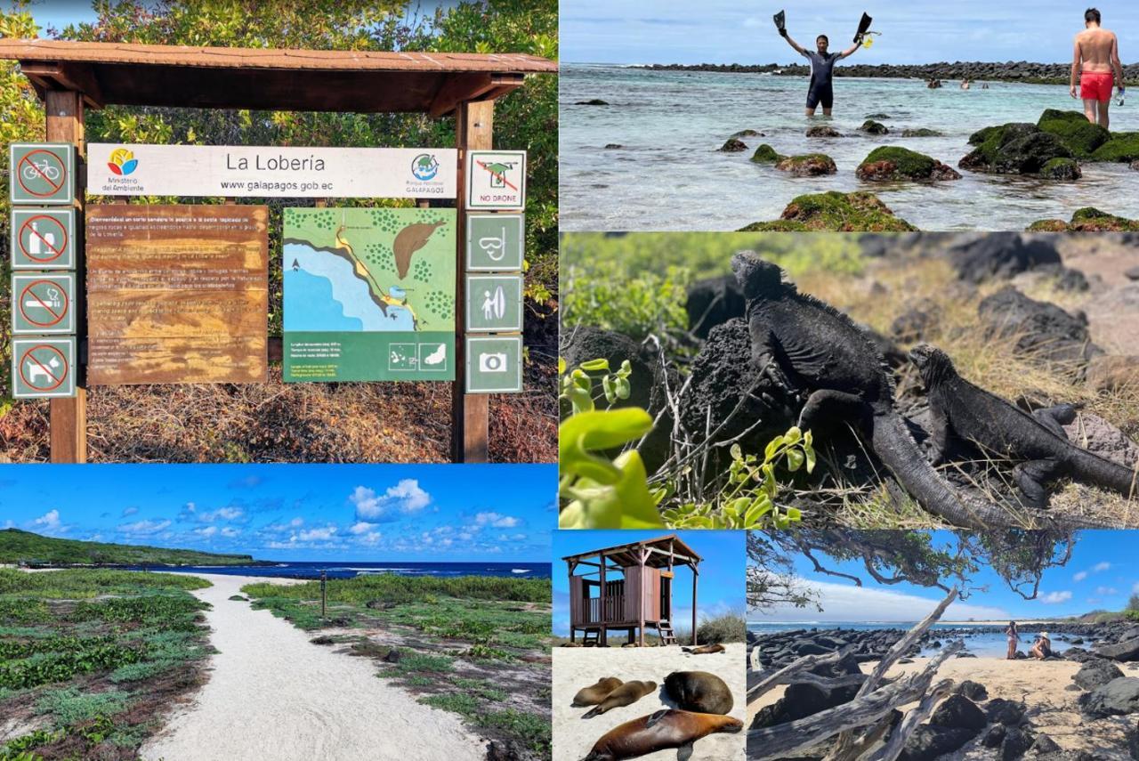 Апартаменты Tropical Paradise, Galapagos Пуэрто-Бакерисо-Морено Экстерьер фото