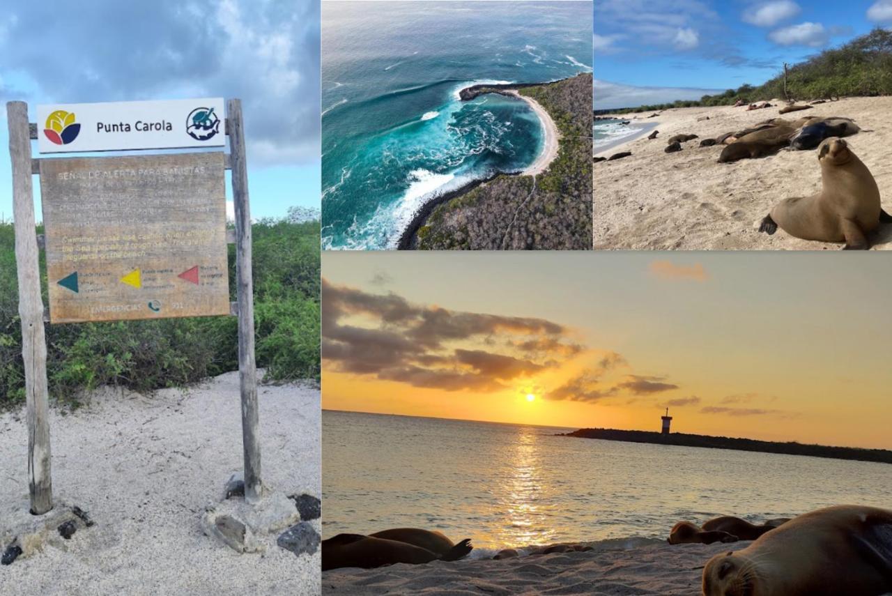 Апартаменты Tropical Paradise, Galapagos Пуэрто-Бакерисо-Морено Экстерьер фото